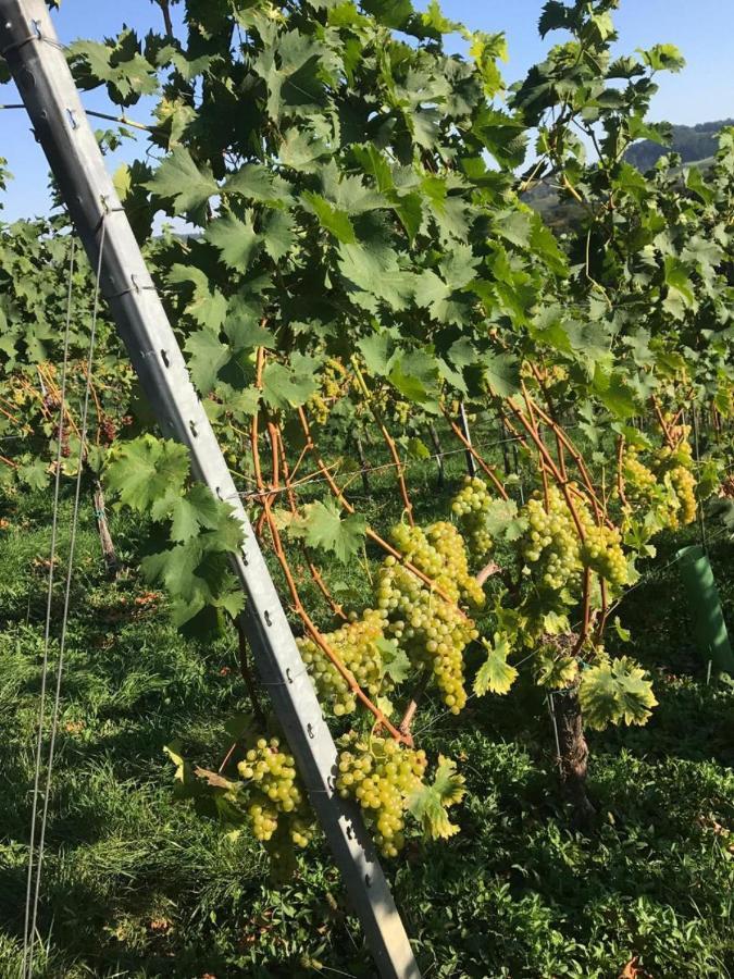Landpension Gschwantner Lengenfeld Eksteriør billede